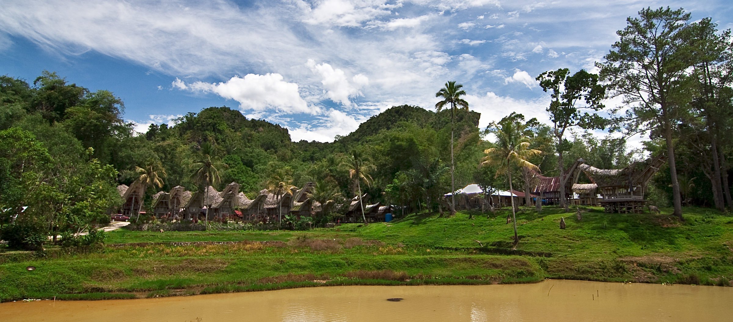 Toraja Village with Tongkonan